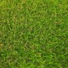 Windsor 32mm Artificial Grass