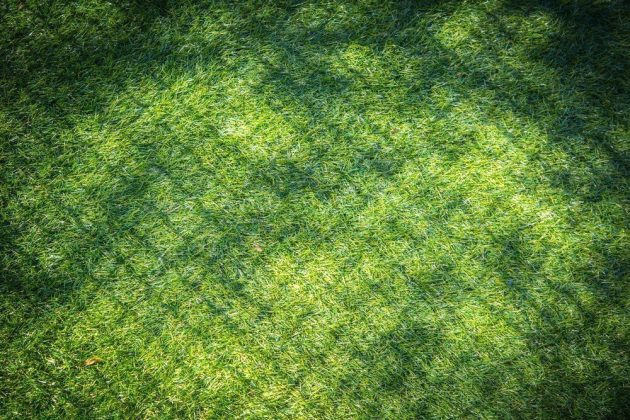 Remove Stubborn Stains from Artificial Grass