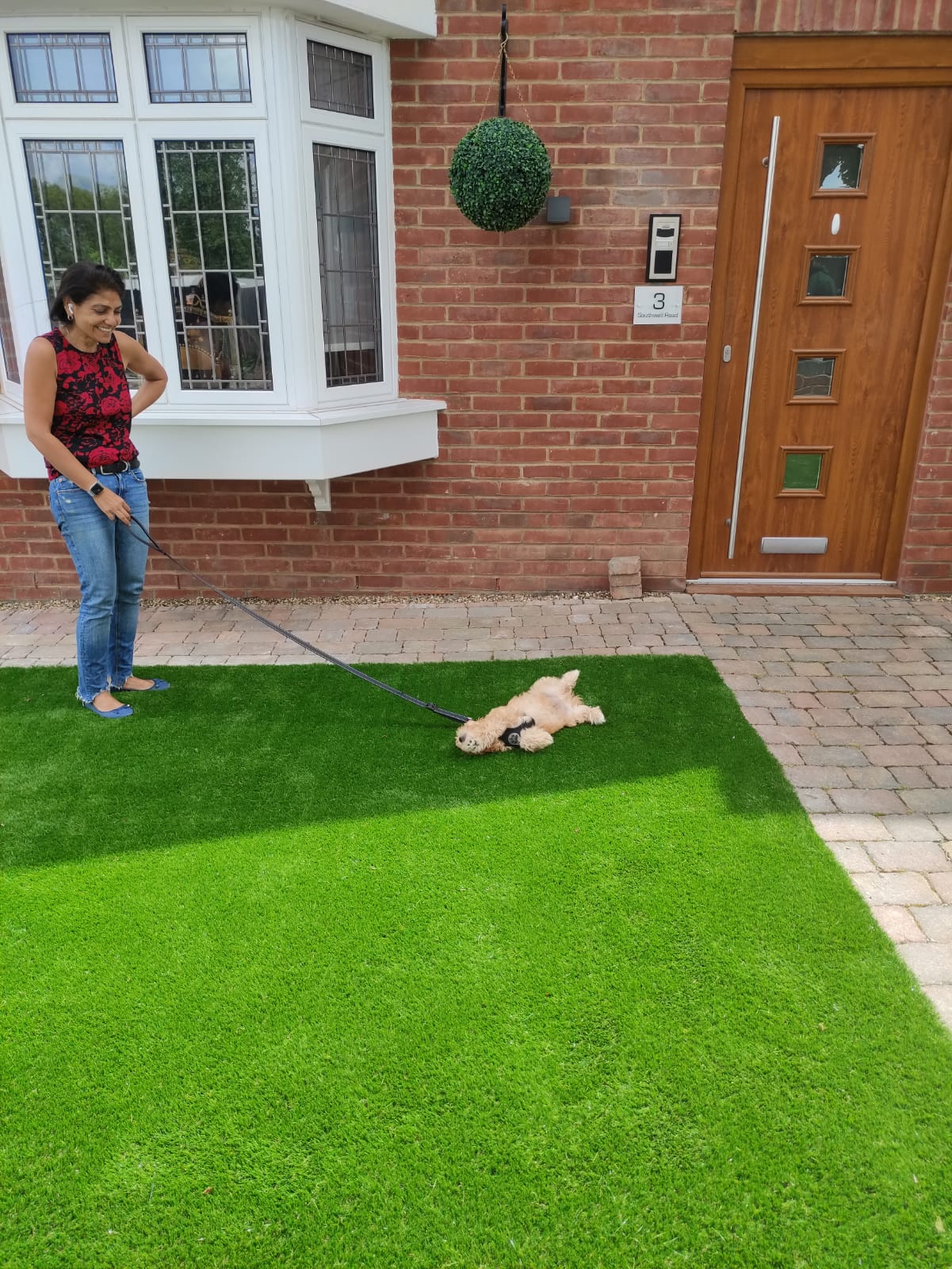 Artificial grass for dogs