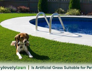 artificial grass for dogs