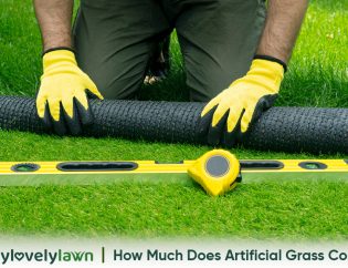 How Much Does Artificial Grass Cost