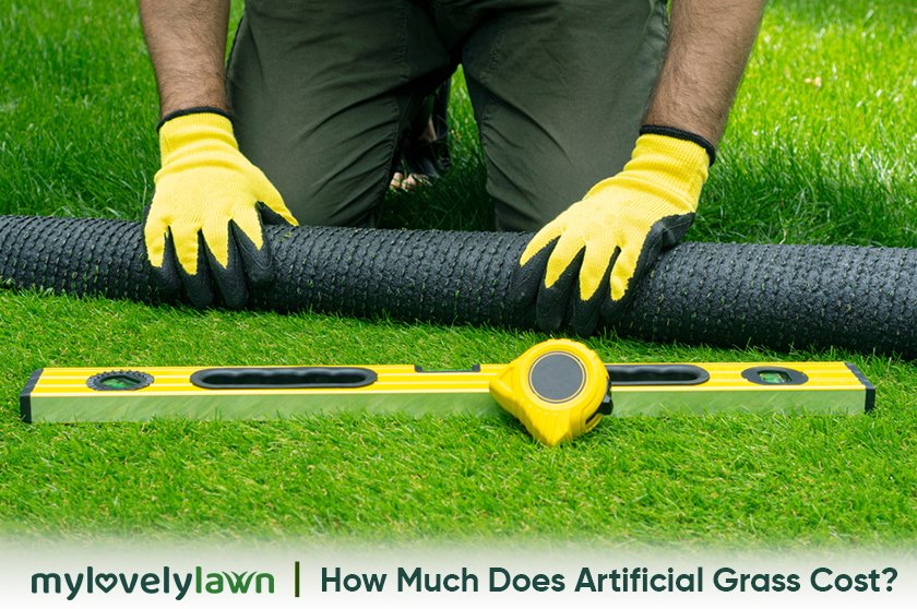 How Much Does Artificial Grass Cost