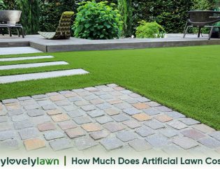 How Much Does Artificial Lawn Cost