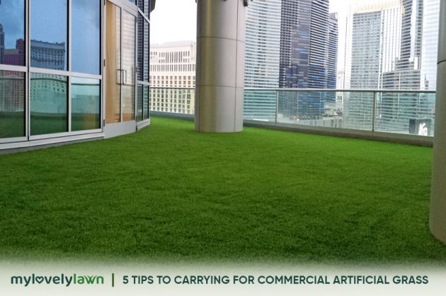 5 Tips to Carrying for Commercial Artificial Grass