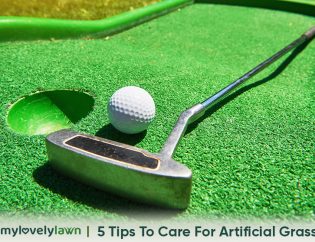 5 Tips to Care For Artificial Grass