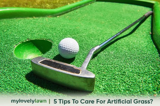 5 Tips to Care For Artificial Grass