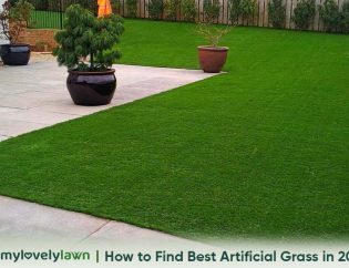 How to Find Best Artificial Grass in 2022